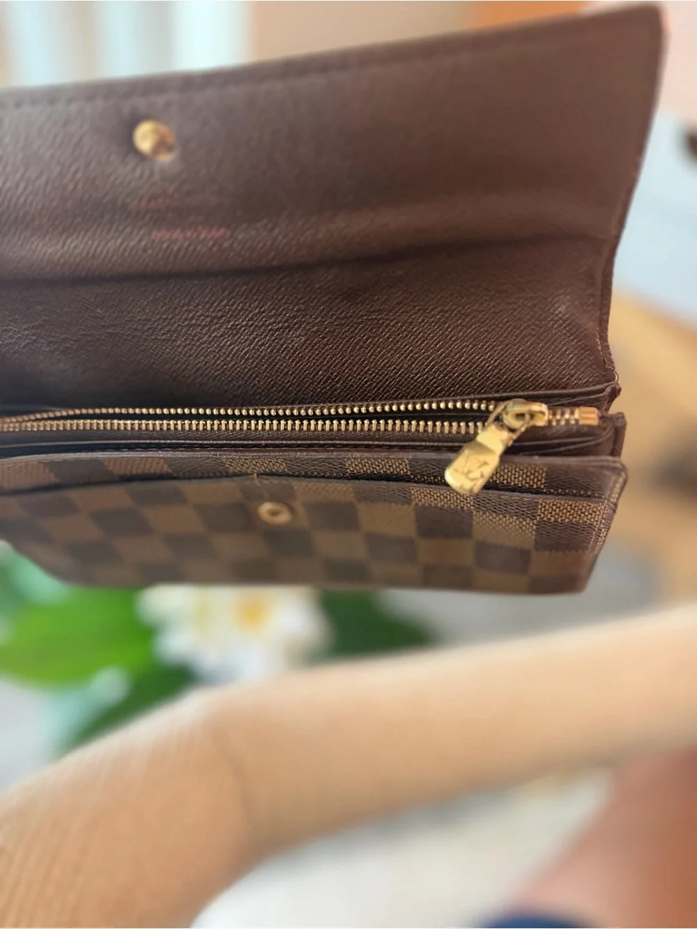 Louis Vuitton Epene Damier Women's Wallet Clutch